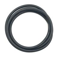 TI-20 | TI-20 20 Inch O-Ring for 2-Piece Super Single Rims (4).jpg